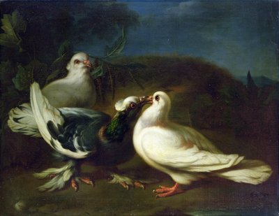 Palomas, 1724 de Franz Werner Tamm